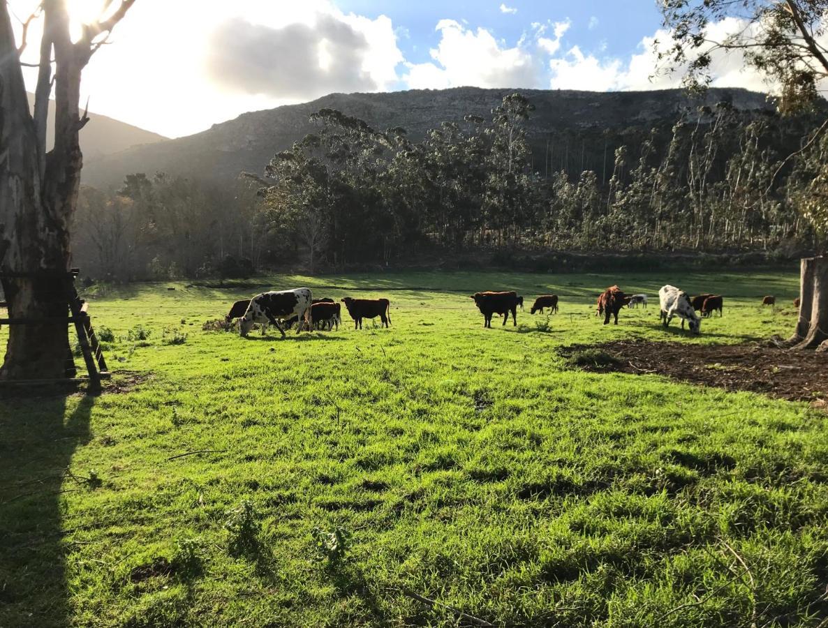 Kleine Vrede Farm Cottage Hermanus Luaran gambar