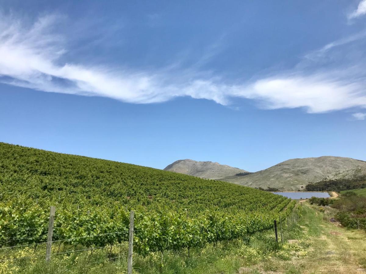 Kleine Vrede Farm Cottage Hermanus Luaran gambar