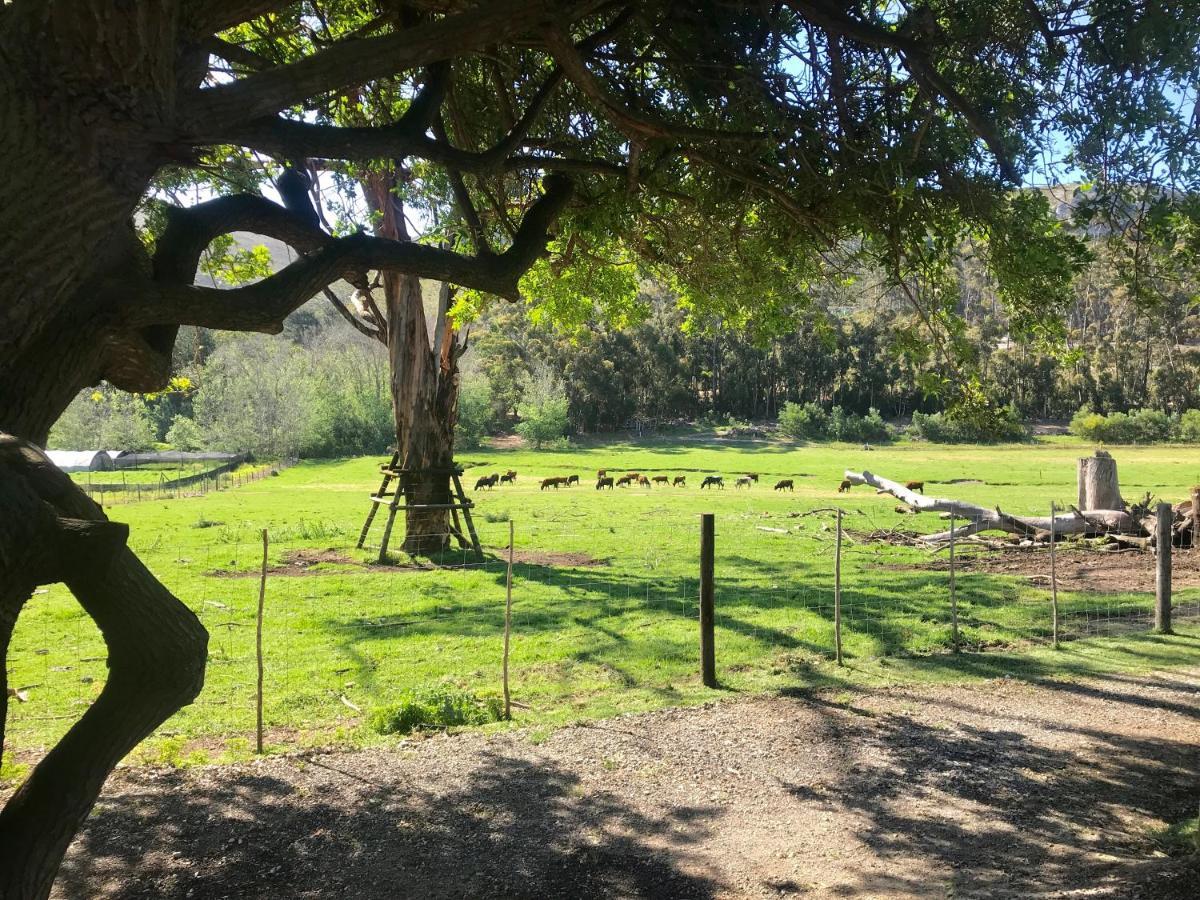 Kleine Vrede Farm Cottage Hermanus Luaran gambar