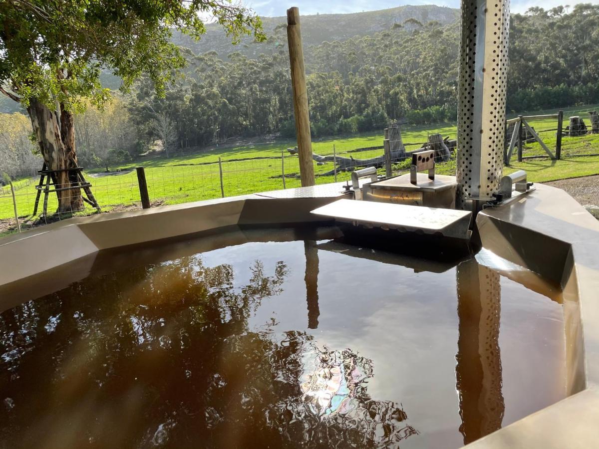 Kleine Vrede Farm Cottage Hermanus Luaran gambar