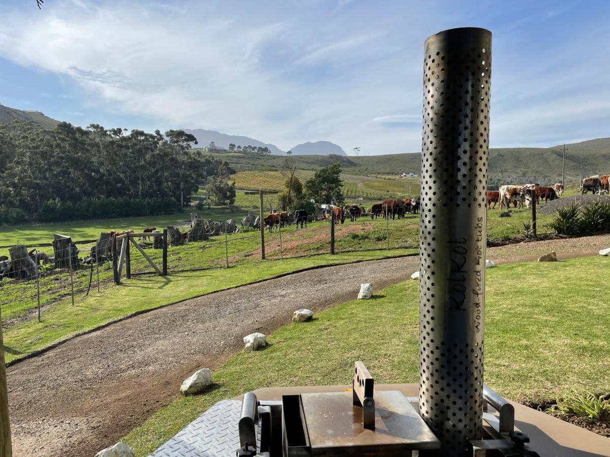 Kleine Vrede Farm Cottage Hermanus Luaran gambar