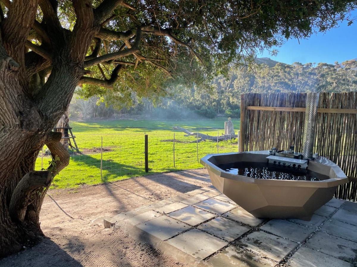 Kleine Vrede Farm Cottage Hermanus Luaran gambar